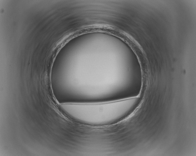 X0000083040969200702020938