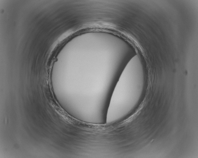 X0000083040974200702020938