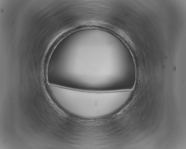 X0000083040976200702020938