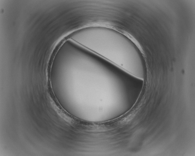 X0000083040980200702020938