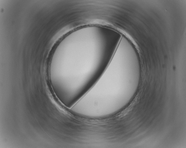 X0000083040991200702020938