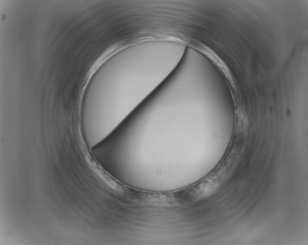 X0000083041002200702020938