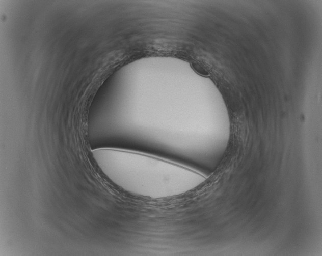 X0000083041009200702020937