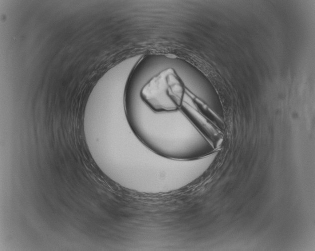 X0000083041010200702020937