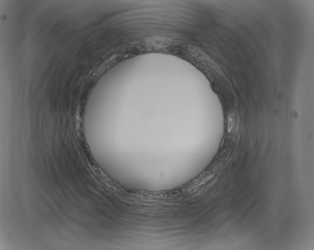 X0000083041011200702020937