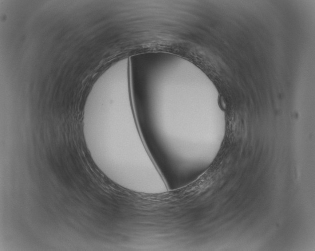X0000083041012200702020937