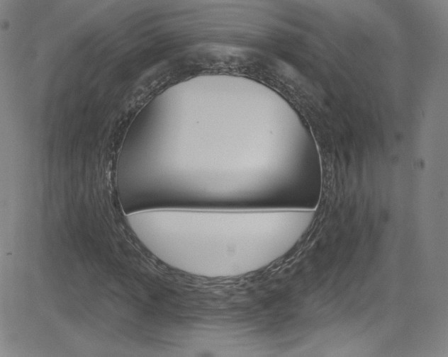 X0000083041013200702020937