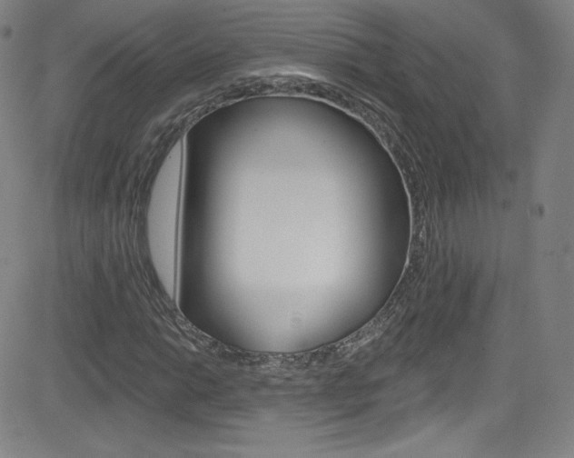 X0000083041014200702020937