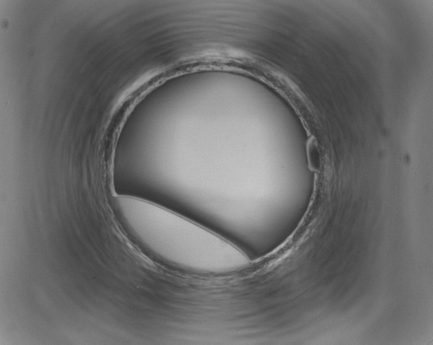 X0000083041018200702020937