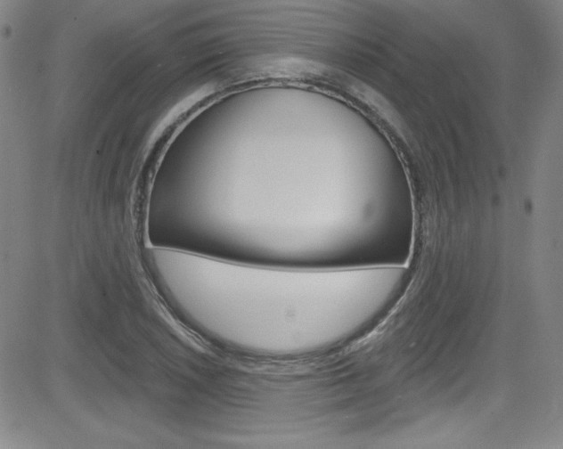X0000083041026200702020937