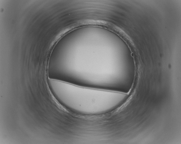 X0000083041033200702020937