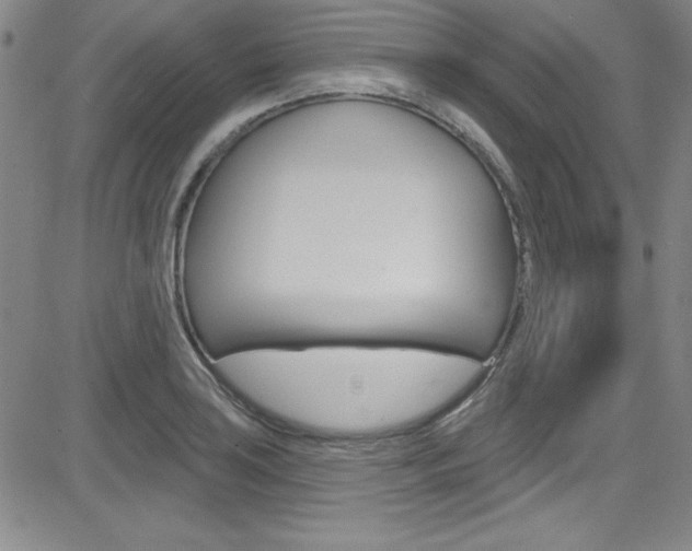 X0000083041035200702020938