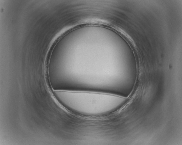 X0000083041037200702020938