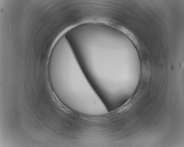 X0000083041052200702020938