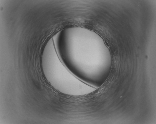 X0000083041057200702020937