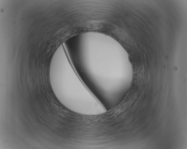 X0000083041058200702020937