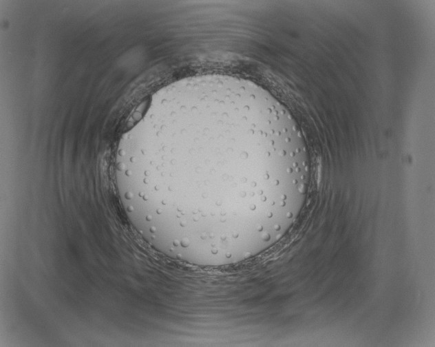 X0000083041059200702020937