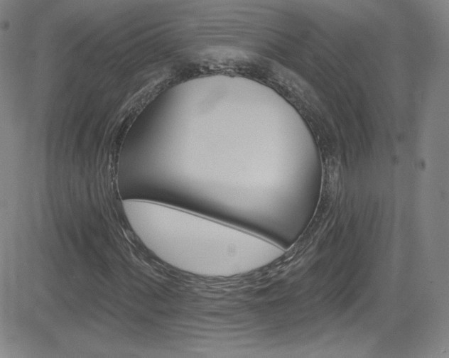 X0000083041060200702020937