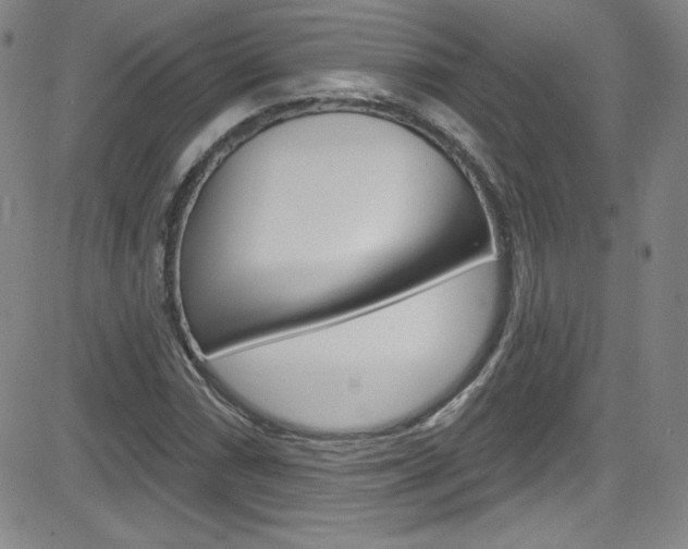 X0000083041066200702020937