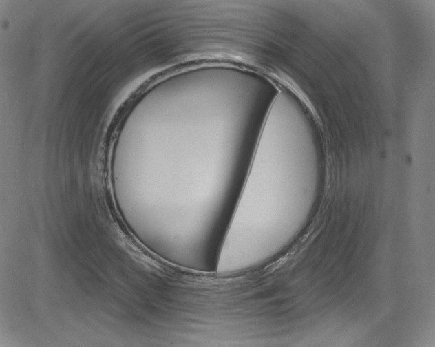 X0000083041068200702020937