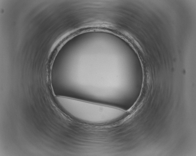 X0000083041069200702020937