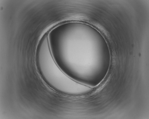 X0000083041077200702020937