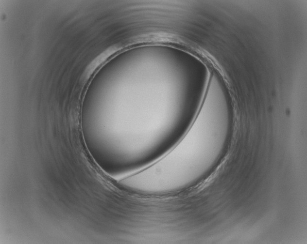 X0000083041081200702020937