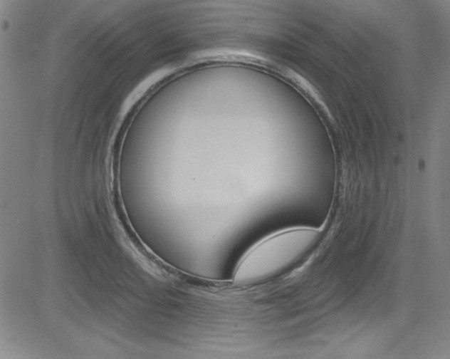 X0000083041082200702020937