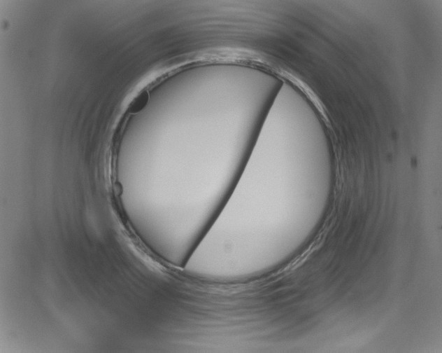 X0000083041083200702020937