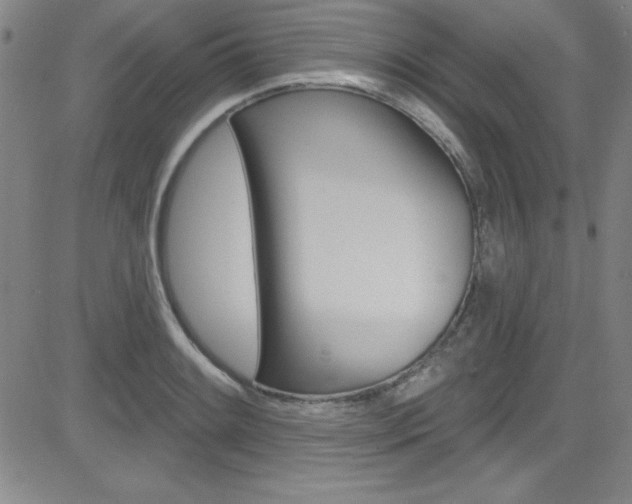 X0000083041084200702020937