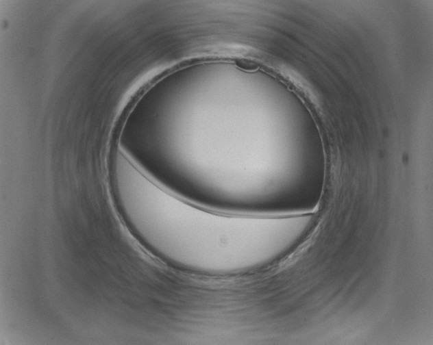 X0000083041085200702020937