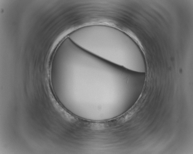 X0000083041088200702020937