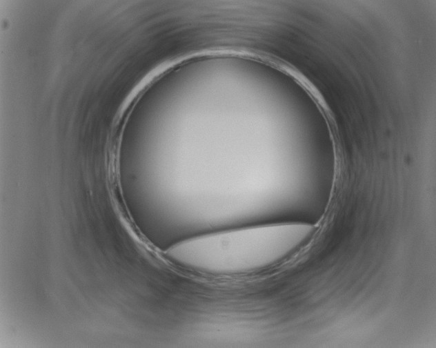 X0000083041101200702020936
