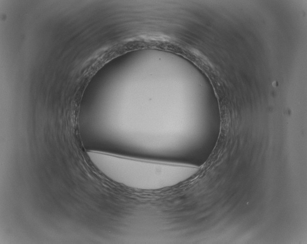 X0000083041110200702020936