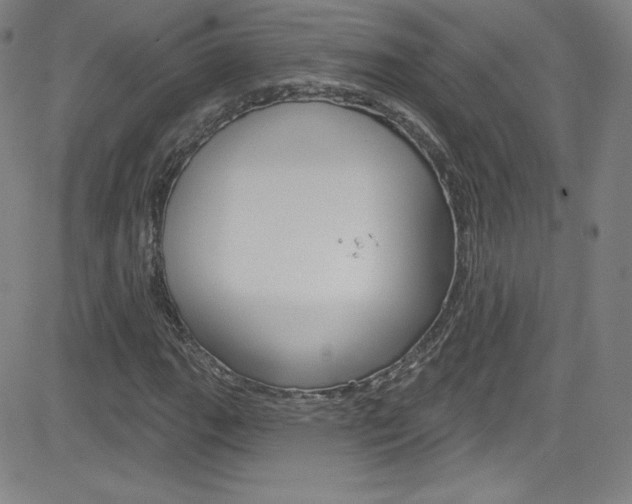 X0000083041111200702020936