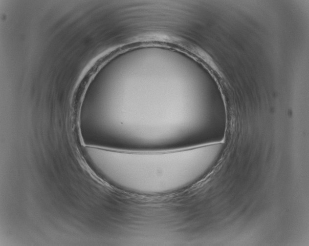 X0000083041116200702020936