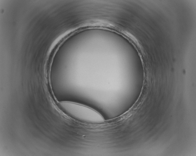 X0000083041120200702020936