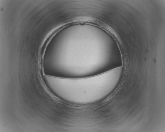 X0000083041124200702020936