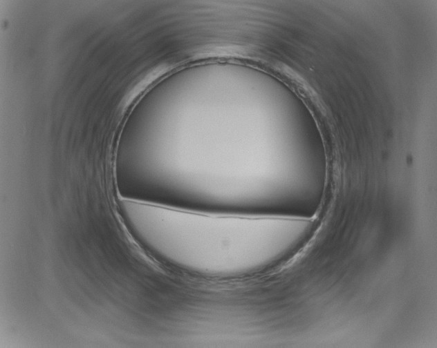 X0000083041129200702020936
