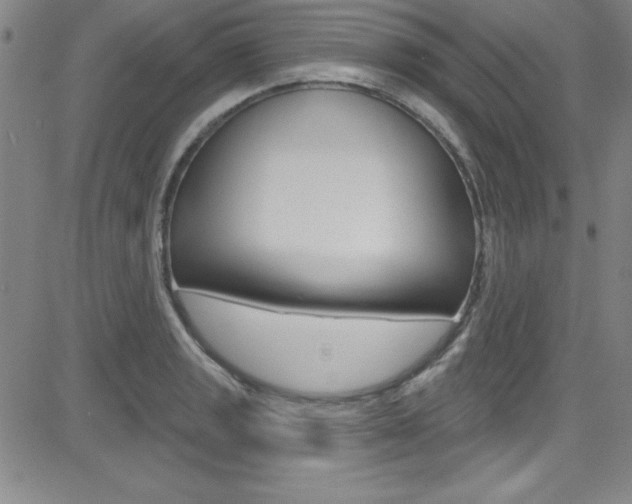 X0000083041133200702020936