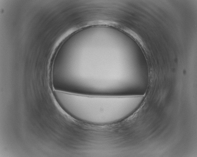 X0000083041135200702020936