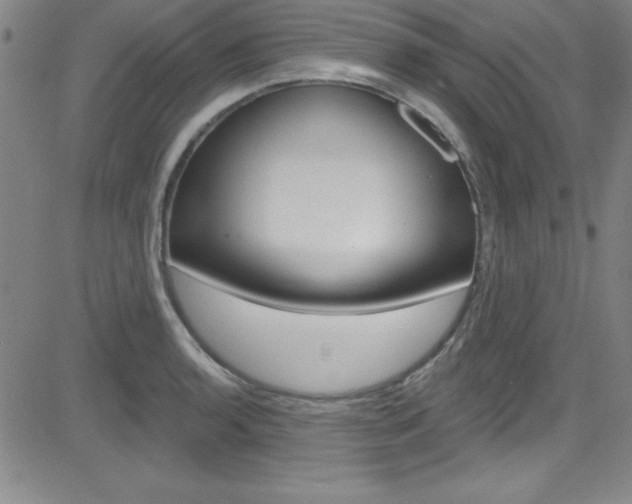 X0000083041136200702020936