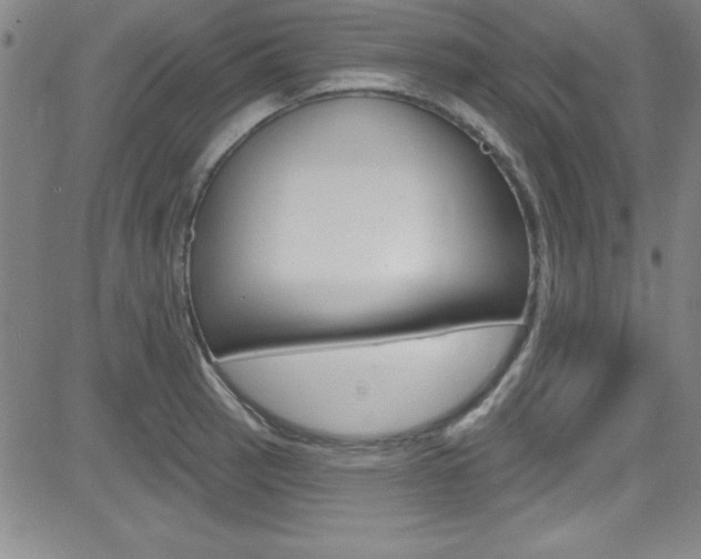 X0000083041137200702020936