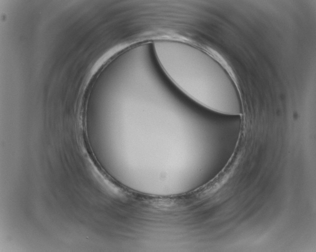 X0000083041141200702020936