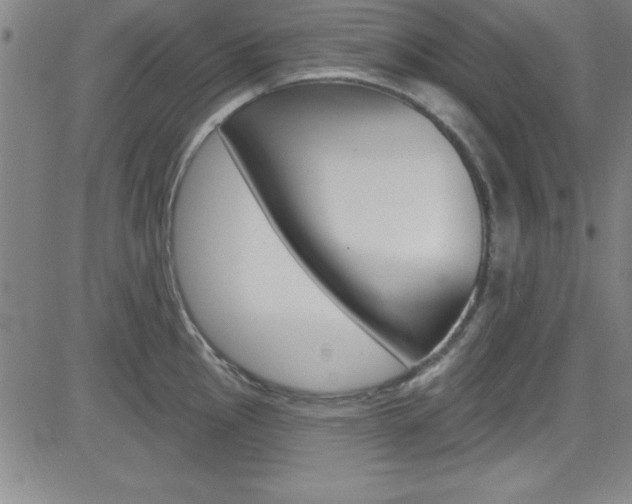 X0000083041145200702020936
