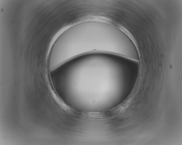 X0000083041152200702020936