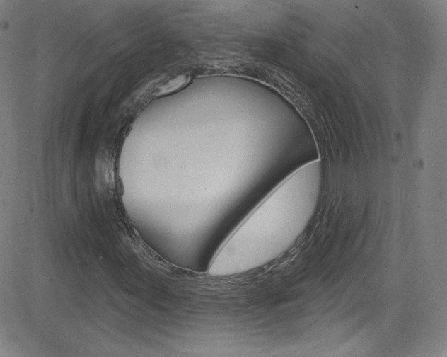 X0000083041155200702020935