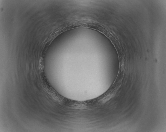 X0000083041156200702020935