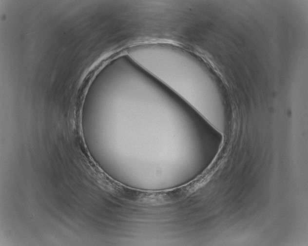 X0000083041165200702020935