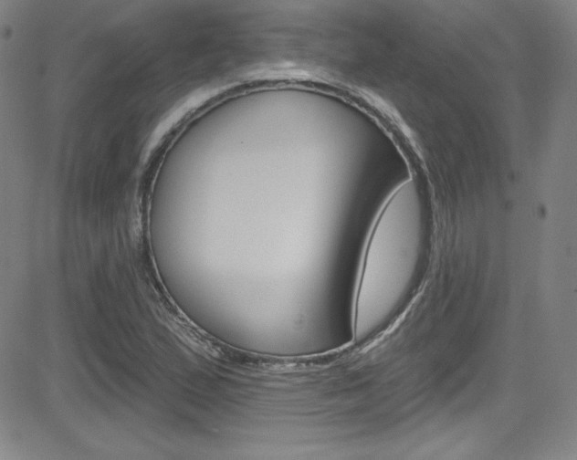 X0000083041167200702020935